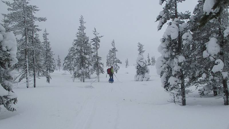 Ski de randonnée en Finlande, Parc national Urho Kekkonen