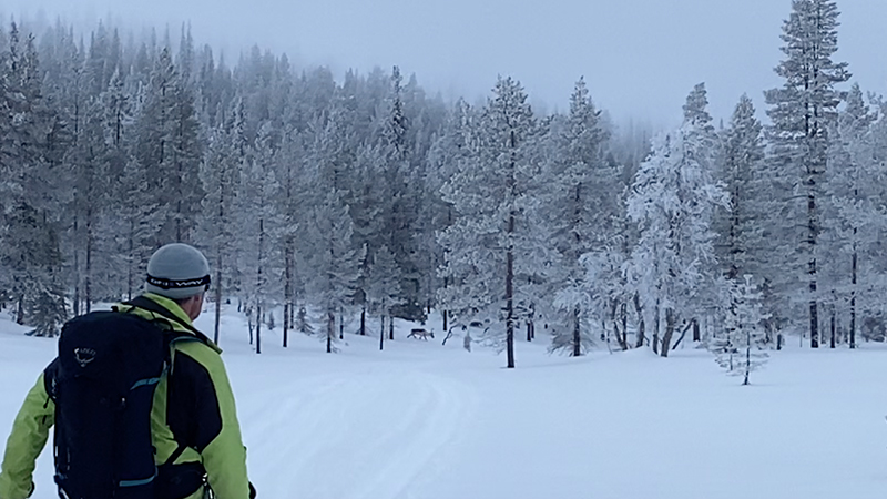 Ski de randonnée en Finlande, Parc national Urho Kekkonen