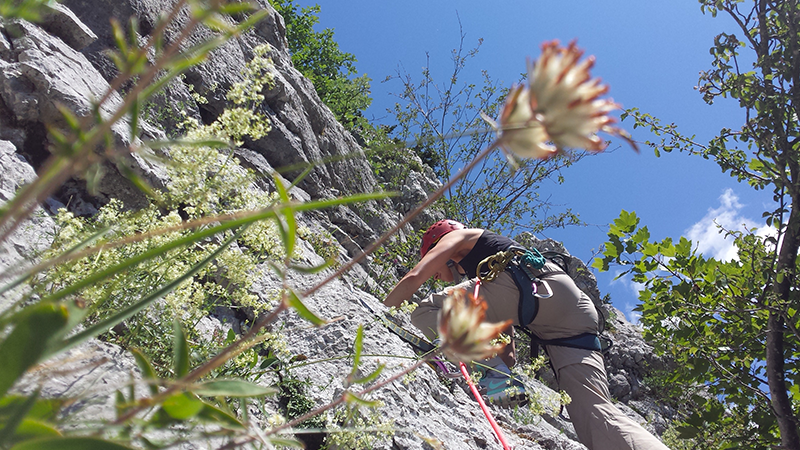 Escalade sur les sites naturels du Vercors