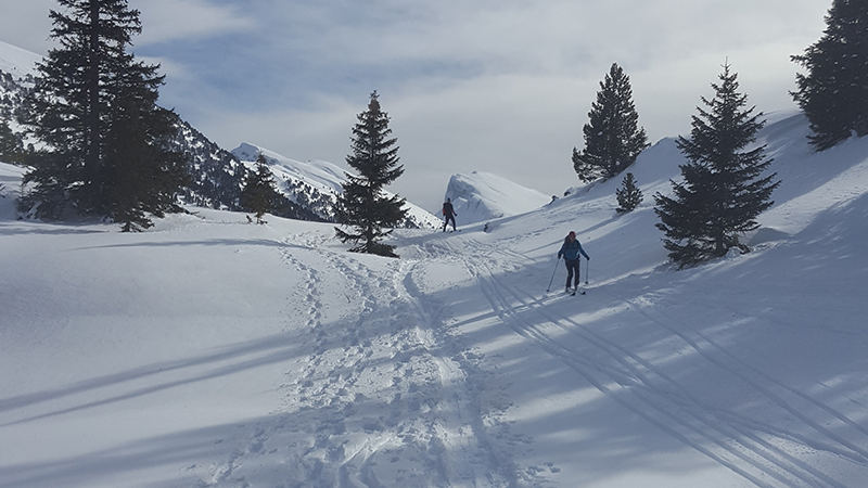 Ski de randonnée nordique sur les Hauts Plateaux du Vercors